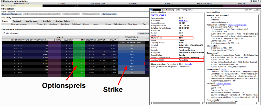 Screenshot des Option Traders aus der Trader Workstation mit Markierungen zur Erläuterung des Long Calls
