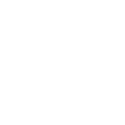 Logo American International Group