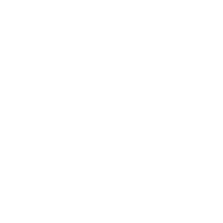 Alnylam Pharmaceuticals Logo