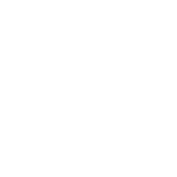 Axon Enterprise Logo