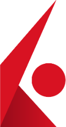 Interactive Brokers Group Logo
