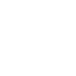 Logo NetApp